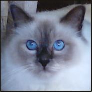 Cobalt
