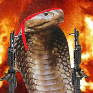 Cobra H1
