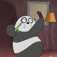 爱吃辣条的熊猫