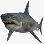 MEGALODON