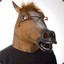 mR_Head_of_Horse