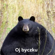 Aragornix270791