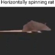 freebirdsolospinningrat