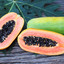 Pojilaya_Papaya