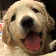 Ranch`maninoff's Avatar