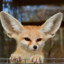 FennecFoxx