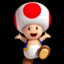 Toad