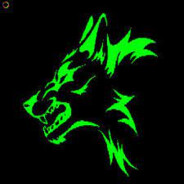 🐺's Avatar