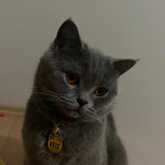 Cerwin's Avatar
