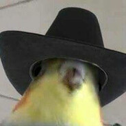 Kovboy Cikcik's Avatar