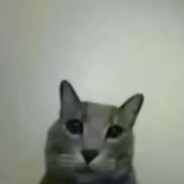 Thiên Lý Ơi