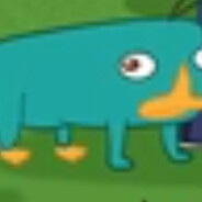 Perry