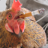 rooster
