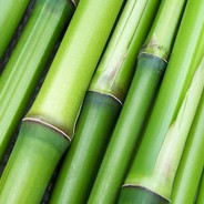 China took my baby please he