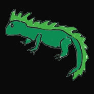 iguana ッ