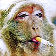 wackmonkey