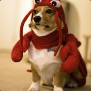 teeQuila - steam id 76561197961856661