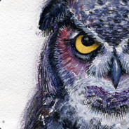 lime Owl