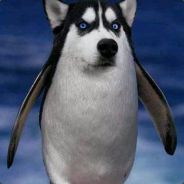 纯洁的我's Avatar