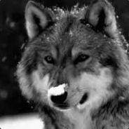 WolfLeaderCK