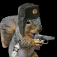 Squirrel avatar