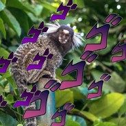 Sagui Manjador