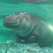 Sad Hippo's Avatar