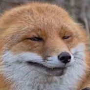 Steam profile avatar of Grapefruit Soda