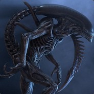 broda - steam id 76561197971026978