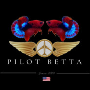 PILOT7BETTA