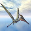 Pterodactylus