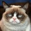 GrumpyCat