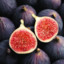 fiG