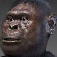 Australopithecus