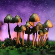 Mushroominator