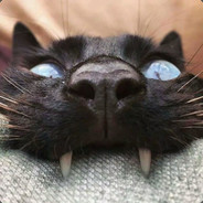 ToxicFireWolf