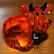 Molepigeon