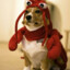 lobsterdog