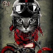 Johnny BikerCat