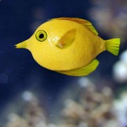 Lemonfish's Avatar