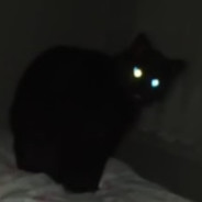 Barsik