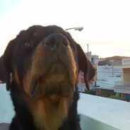 Santos