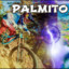 Palmito