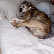 Steam profile avatar of Skit