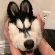 Omg