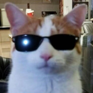 Jasper.-