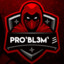 Pro`bL3m` 彡