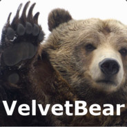 Velvet Bear's Avatar