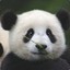 水平看对手