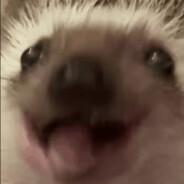 MaksikEblanator